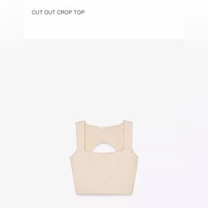 Zara cut out crop top